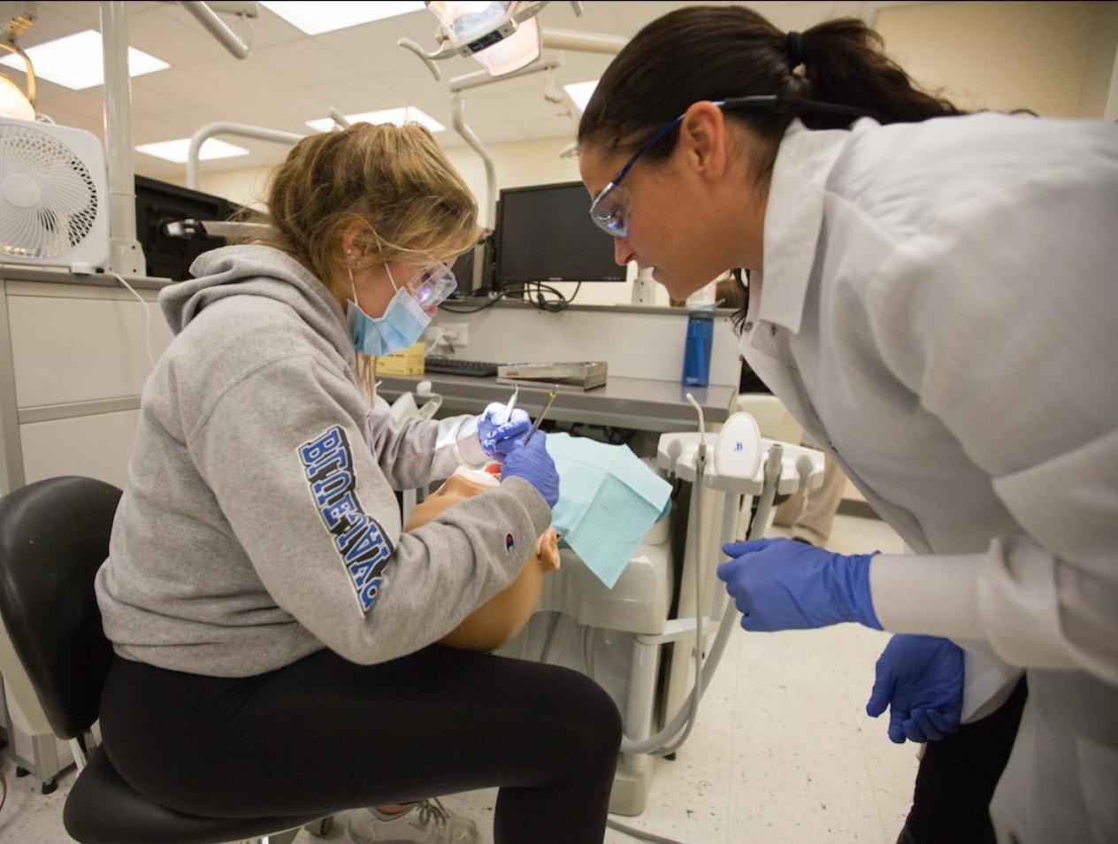 Two dental students in simulation lab