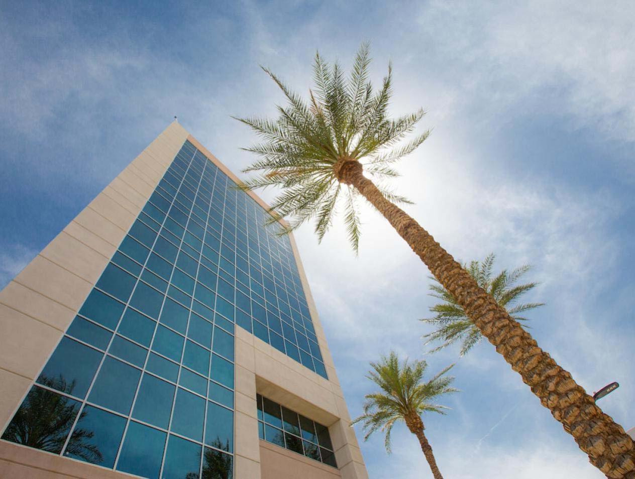 Palm tree beside campus building